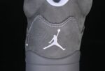 Air Jordan 5 Retro Wolf Grey (2026) 5 Air Jordan 5 Retro Wolf Grey (2026) 5