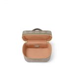 Louis Vuitton Nice Mini Bag 4.jpg