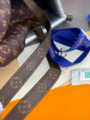 Louis Vuitton Pillow Onthego GM 2 1.jpg