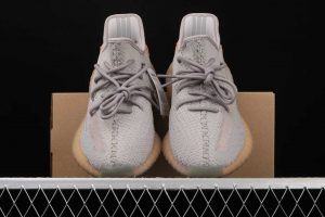 Yeezy Boost 350 V2 Trfrm 5