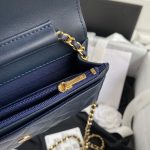 chanel ap0250 wallet on chain lambskin a33814 23 luxibags.ru .jpg