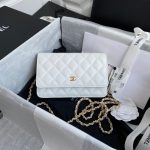 chanel ap0250 wallet on chain lambskin a33814 25 luxibags.ru .jpg