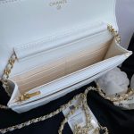 chanel ap0250 wallet on chain lambskin a33814 33 luxibags.ru .jpg