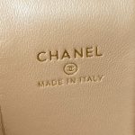 chanel ap2730 vanity case lambskin 09 luxibags.ru .jpg