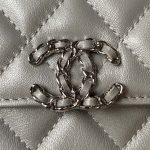 chanel ap3238 flap chain bag gray lambskin gold with handle bag 002 luxibags.ru .jpg