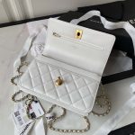 chanel ap3424 woc mini flap bag lambskin white 006 luxibags.ru .jpg