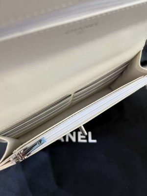 chanel ap3645 woc wallet on chain white shiny crumpled calfskin strass ruthenium finish metal 07 luxibags.ru .jpg