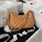 chanel ap3647 23k small hobo bag lambskin gold metal caramel 001 luxibags.ru .jpg