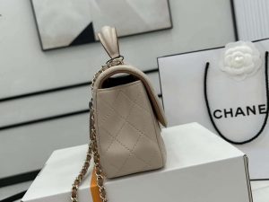 chanel as2431 mini flap apricot with brown lambskin bag with top handle gold 005 luxibags.ru .jpg