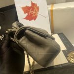chanel as2431 mini flap lambskin bag with top handle gray bright gold 005 luxibags.ru .jpg