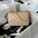 chanel as2615 woc wallet on chain with gold charm mini vintage calfskin bag apricot 002 luxibags.ru .jpg