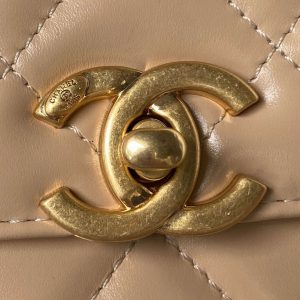 chanel as2615 woc wallet on chain with gold charm mini vintage calfskin bag apricot 003 luxibags.ru .jpg
