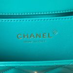 chanel as2615 woc wallet on chain with gold charm small vintage calfskin bag 008 luxibags.ru .jpg