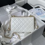 chanel as2649 woc wallet on chain with gold charm small vintage calfskin bag white 002 luxibags.ru .jpg