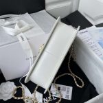 chanel as2649 woc wallet on chain with gold charm small vintage calfskin bag white 006 luxibags.ru .jpg