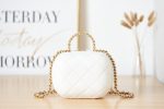 chanel as3066 small vanity case lambskin gold tone metal white 04 luxibags.ru .jpg