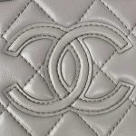 chanel as3344 small vanity case calfskin gold tone metal gray 003 luxibags.ru .jpg