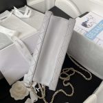 chanel as3345 vanity case calfskin gold tone metal gray 007 luxibags.ru .jpg