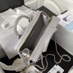 chanel as3345 vanity case calfskin gold tone metal gray 008 luxibags.ru .jpg