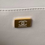 chanel as3345 vanity case calfskin gold tone metal gray 009 luxibags.ru .jpg