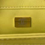 chanel as3499 flap bag shearling yellow 009 luxibags.ru .jpg