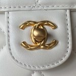 chanel as3973 small vanity case lambskin bag with top handle white gold 003 luxibags.ru .jpg