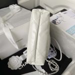 chanel as3980 22 mini handbag shiny calfskin silver tone metal white 005 luxibags.ru .jpg