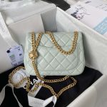 chanel as4040 mini flap classic bag 18 woc camellia lambskin green gray 002 luxibags.ru .jpg