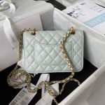 chanel as4051 flap bag lambskin gold metal light green 002 luxibags.ru .jpg