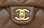 chanel as4151 small flap bag with top handle lambskin wenge wood brown 004 luxibags.ru .jpg
