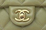 chanel as4151 small flap bag with top handle lambskin wenge wood matche green 004 luxibags.ru .jpg