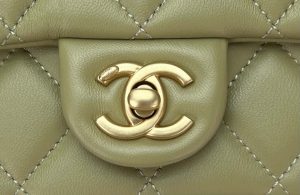 chanel as4151 small flap bag with top handle lambskin wenge wood matche green 004 luxibags.ru .jpg