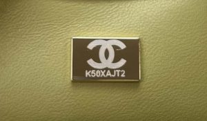 chanel as4151 small flap bag with top handle lambskin wenge wood matche green 009 luxibags.ru .jpg