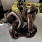 chanel as4165 mini flap bag lambskin wenge wood gold tone metal lemon green 006 luxibags.ru .jpg