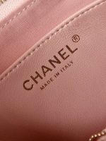 chanel as4422 23k hobo bag lambskin gold metal pink 008 luxibags.ru .jpg