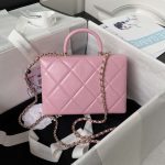 chanel as4469 small box bag shiny calfskin gold tone metal pink 02 luxibags.ru .jpg