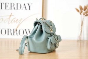 chanel backpack duma blue lambskin cc as2908 gold 003 luxibags.ru .jpg