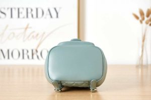 chanel backpack duma blue lambskin cc as2908 gold 006 luxibags.ru .jpg