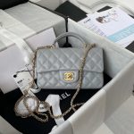 chanel mini flap lambskin bag with top handle as2431 gray gold 001 luxibags.ru .jpg