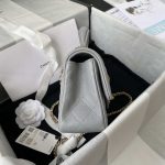 chanel mini flap lambskin bag with top handle as2431 gray gold 005 luxibags.ru .jpg