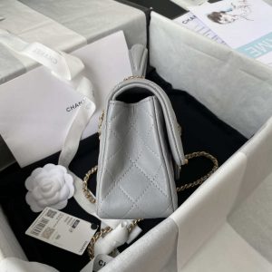 chanel mini flap lambskin bag with top handle as2431 gray gold 005 luxibags.ru .jpg