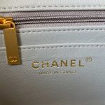 chanel mini flap lambskin bag with top handle as2431 gray gold 008 luxibags.ru .jpg