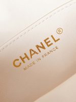 chanel small camera case lambskin viscose weaving gold tone metal white gold beige 006 luxibags.ru .jpg
