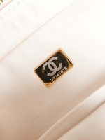 chanel small camera case lambskin viscose weaving gold tone metal white gold beige 007 luxibags.ru .jpg