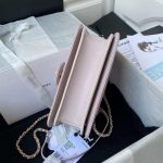 chanel small flap bag with top handle cc as2690 ligth pink 006 luxibags.ru .jpg