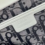 dior m0051 crossbody men bag smooth calfskin gray 009 luxibags.ru .jpg