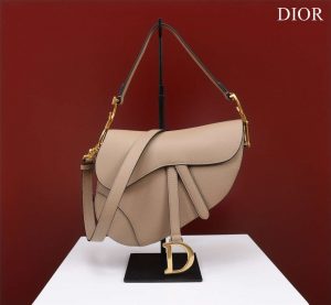 dior m0456 mini saddle bag with strap apricot grained calfskin 001 luxibags.ru .jpg