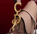 dior m0456 mini saddle bag with strap nude grained calfskin 006 luxibags.ru .jpg