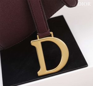 dior m0456 mini saddle bag with strap wine red grained calfskin 008 luxibags.ru .jpg