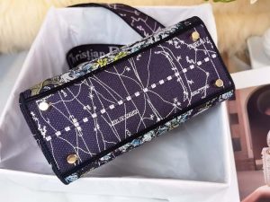 dior m0565 medium lady d lite multicolor florilegio embroidery m1028 07 luxibags.ru .jpg